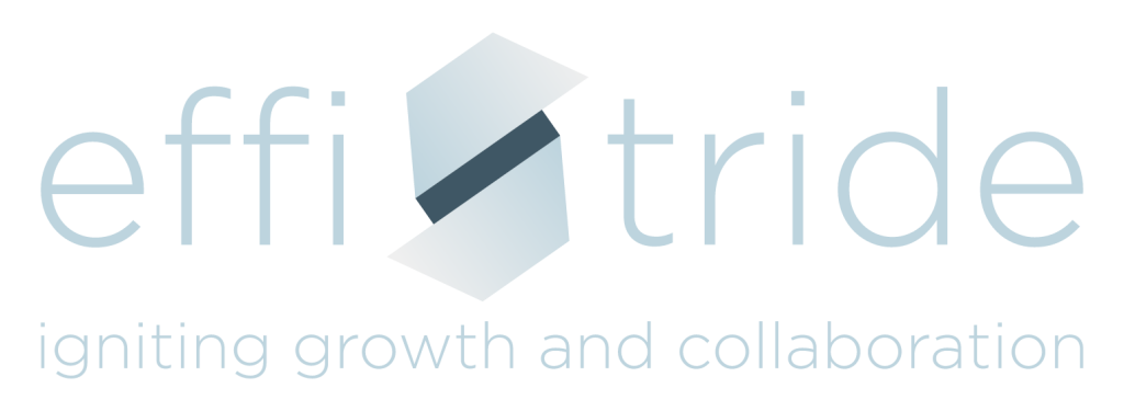 organizer company